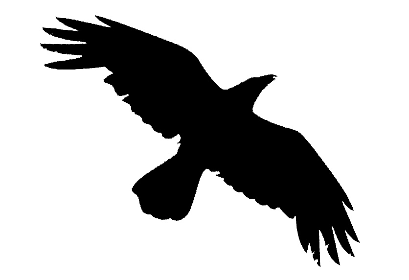 aquila A